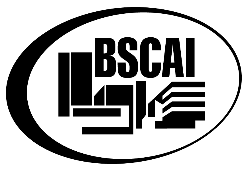 BSCAI logo